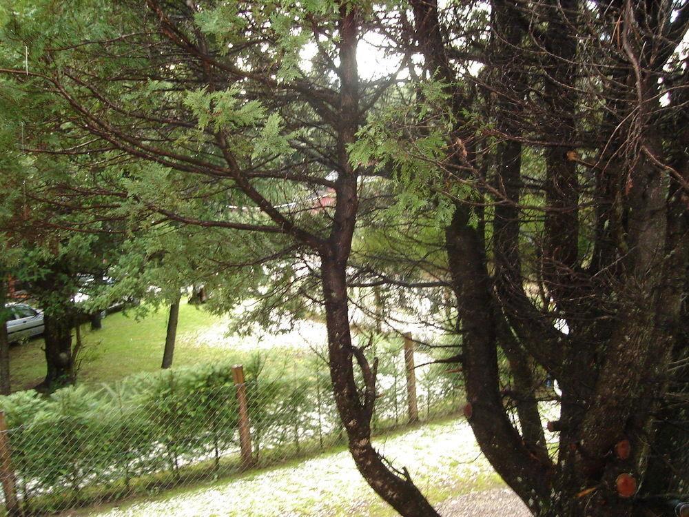 里曼乌简易别墅山林小屋 圣卡洛斯-德巴里洛切 外观 照片